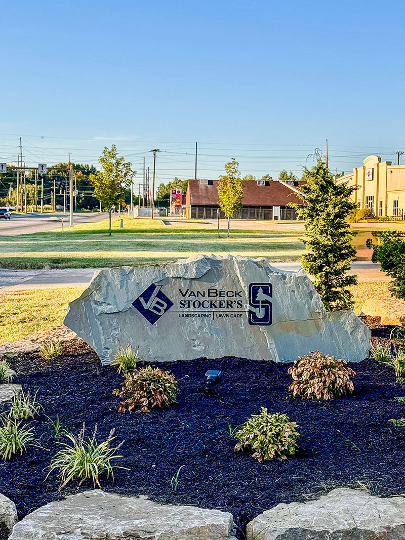 VanBeck Stockers Stone